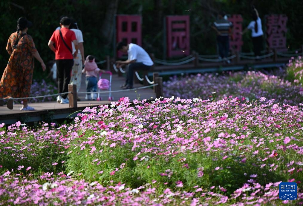博鳌花开迎客来